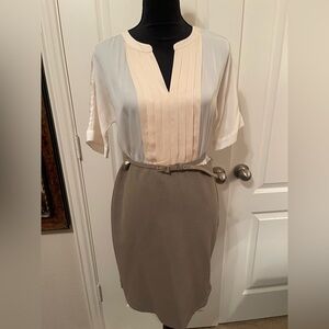 Ann Taylor Cream and Tan Pencil Dress